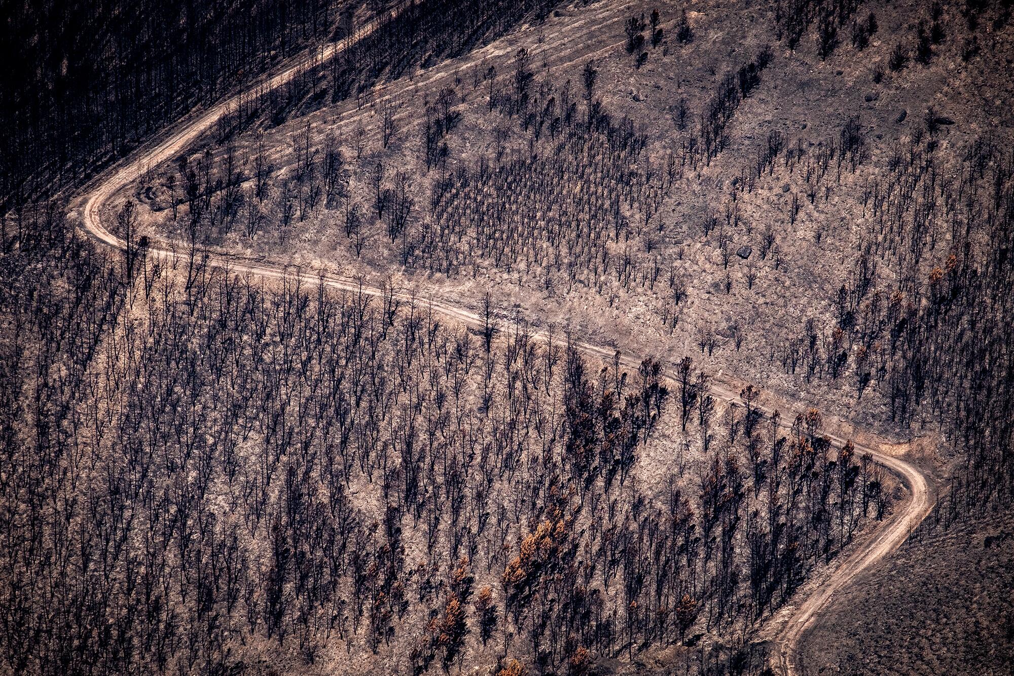 Incendios Greenpeace aereas - 6